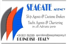 Seagate sas