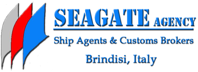 Seagate logo2